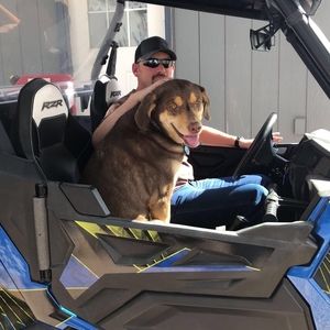 Meet your Posher, Matt